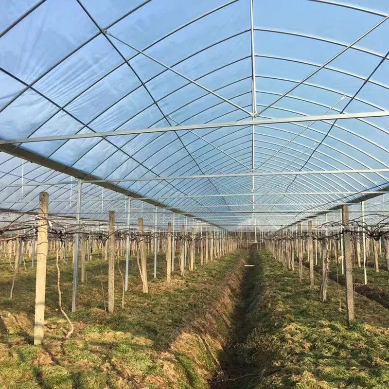 8M*30M-Vegetable Tunnel Greenhouse