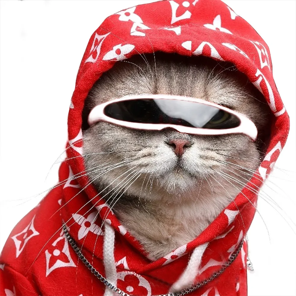 Lovely Windproof Pets Cat Sunglasses Future World Style Goggles Reflective Lens Unique Products for Cats Dog Accessories Items