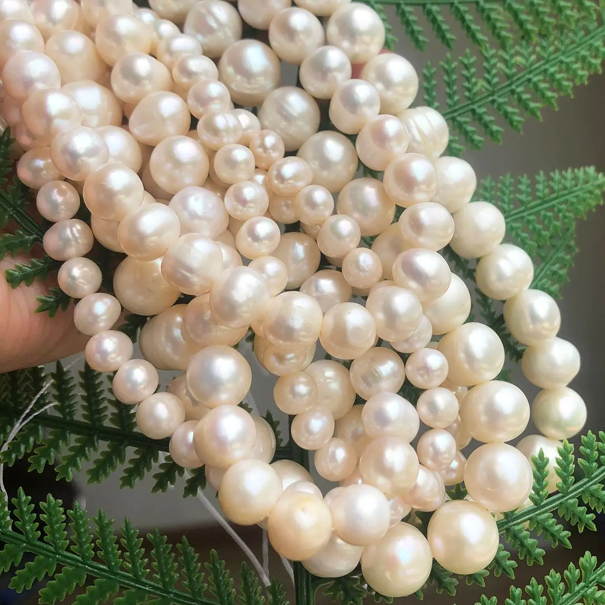 Natural Freshwater Pearls Beads White Pearls Beads For Women Jewelry Making DIY Bracelet Ear Studs 15\'\' 6mm 8mm 9mm 10mm 11mm