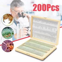 Biology 200PCS Prepared Biological Basic Science Microscope Glass Slides School and Laboratory English Label Teaching Samples