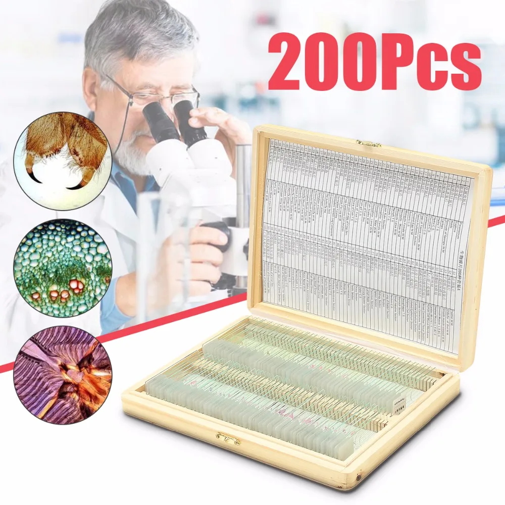 Biology 200PCS Prepared Biological Basic Science Microscope Glass Slides School and Laboratory English Label Teaching Samples