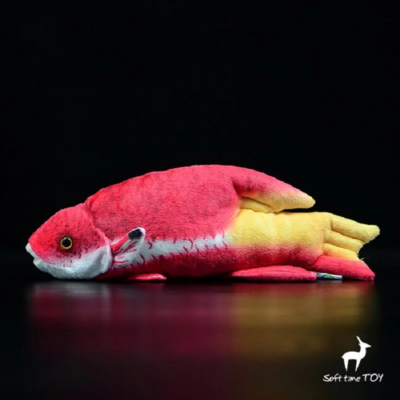 

simulation marine animal 25cm Cuban Hogfish Doll tropical Fish plush toy soft doll baby toy birthday gift h2407