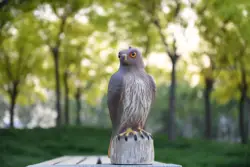 free shipping Hawk FALCON BIRD DETERRENT SCARER DECOY 7 x 16 x 7 inches lifesize and vivid