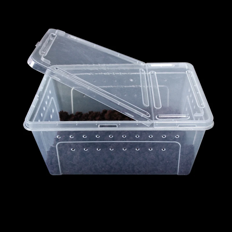 Reptile transparent plastic box breeding habitat lizard snake amphibious frog spider box