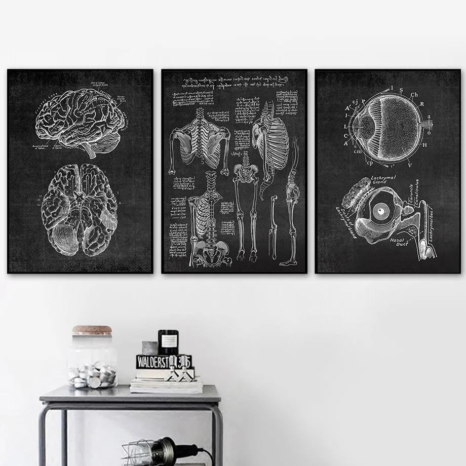 Muskel Fuß Knochen Herz Anatomie Skelett Wand Kunst Leinwand Malerei Nordic Poster Und Drucke Wand Bilder Für Arzt Büro Dekor