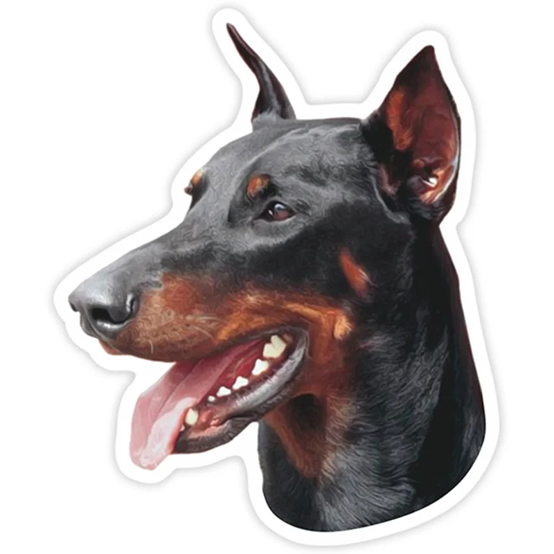 S40204# Various Sizes PVC Decal Doberman Pinscher Car Sticker Waterproof on Bumper Rear Window Laptop Refrigerator Toilet