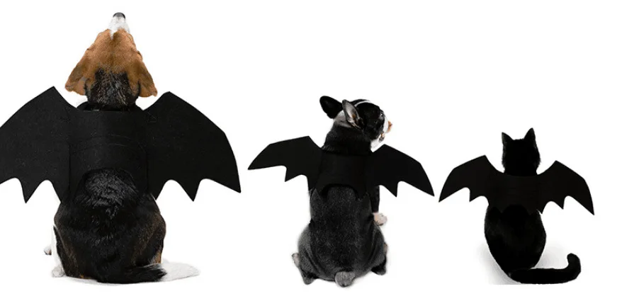 Hunde-Fledermaus-Kostüm – Halloween-Kostüm Für Haustiere, Größe M