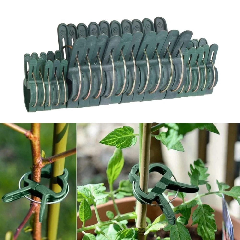 

Reusable Plastic Plant Clips, Gardening Accessories, Supporting Stems of Flower Vine, Vegetables, Tomatoes Climbing, 20Pcs