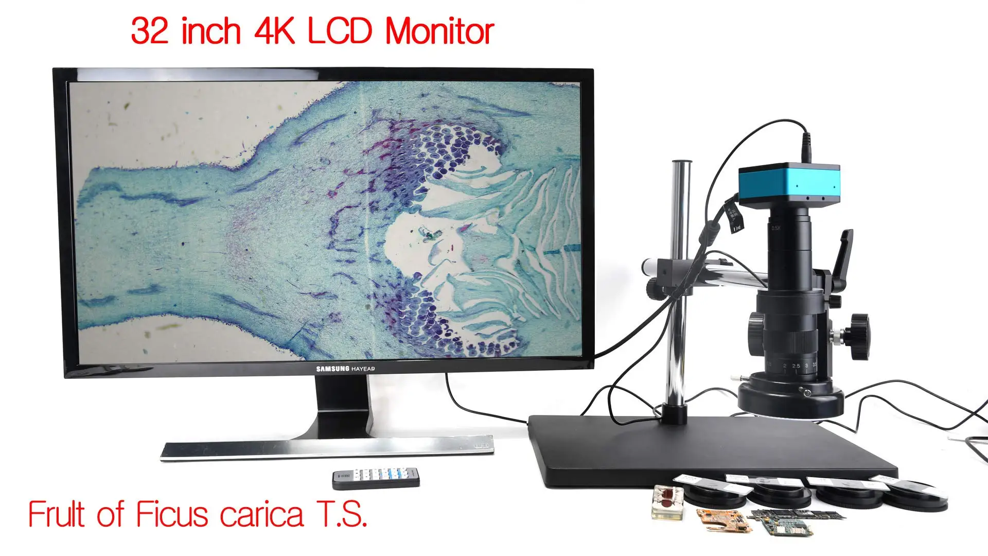 2021 New 4K UHD 2160P 1080P HDMI Industry Microscope Camera for Machine PCB Board CPU Repair Soldering Real 4K High Speed No Lag