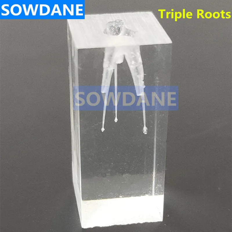 1:1 Resin Dental Endodontic Student Study Practice Operation Model Transparent without files