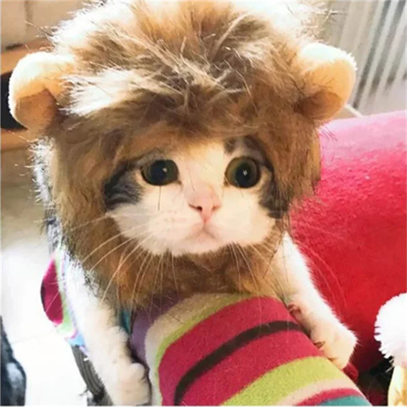 

Cat Dog Lion Headwear Funny Soft Little Ears Helmet Cross Dress Hat Lion Wig Cool Cute Creative Hat Pet Headwear