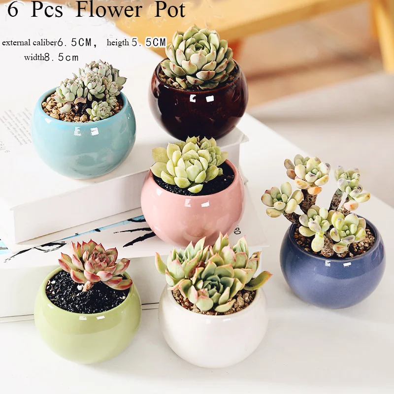 

Round and Colour Flower Pot Succulent Cactus Pot Plant Garden Ceramic Planter Mini Pots Outdoor Garden Home Decor