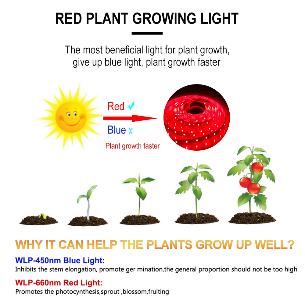 USB Phytolamps for Plants LED Plant Growth Light Strip 5V 2835 Chip 0.5m 1m 2m 3m for Hydroponic Greenhouse Seedlings Growth