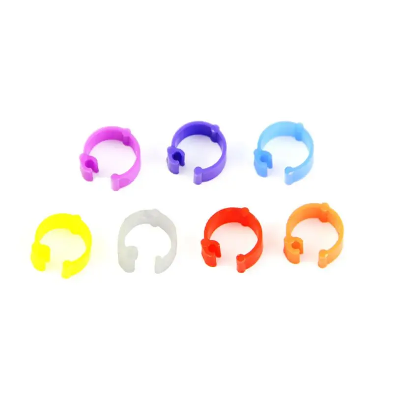 100X Chicken Hen Pi…