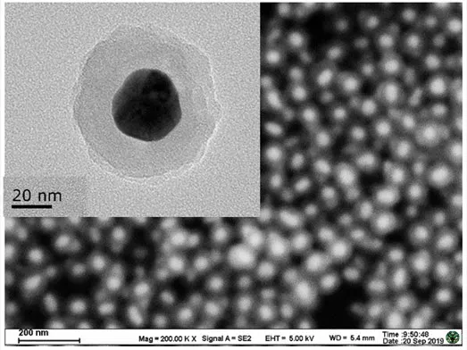 

Au @ SiO2 nanoparticles