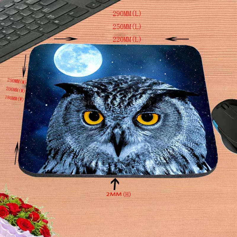 Mairuige Custom Mouse Pad Two Owl Drawing Artwork Beautiful Decoration Computer Notebook Logo Printing Mouse Pad