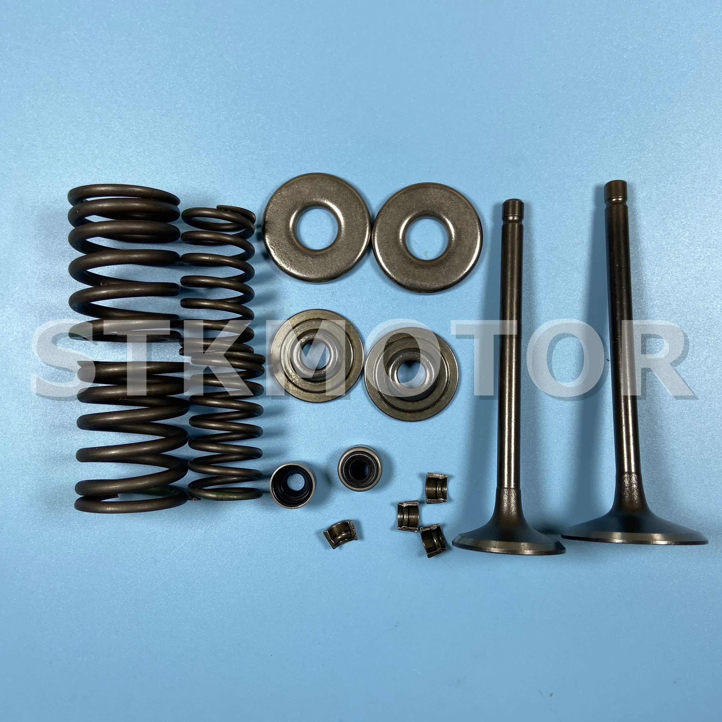 Buyang FA D300 G300 H300 300CC ATV Intake Valve and Exhaust Valve Assembly with Seals and Springs ATV Parts