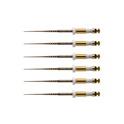 Limes dentaires Niti, 6 pièces, préparation du Canal radiculaire, planeur Golden Glide, utilisation moteur Pro Glider, Endo, fichiers endoscopiques rotatifs
