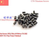 DIN 913 Titanium Set Screws M2x2 M2x3 M2x4 M2x5 M2x6 M2x8 M2x10 Hex 0.9 Driver Flat Point Ti GR2