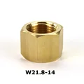 W21.8 Only Nut