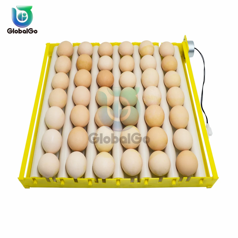360 Degree Automatic Rotating Incubator Roller 42 Duck Chicken Plastic Egg Tray Combination with Auto Turn Motor