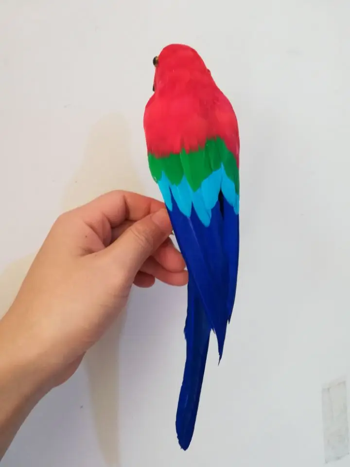 about 30cm coloured red feathers parrot model handicraft,home garden decoration gift a2020