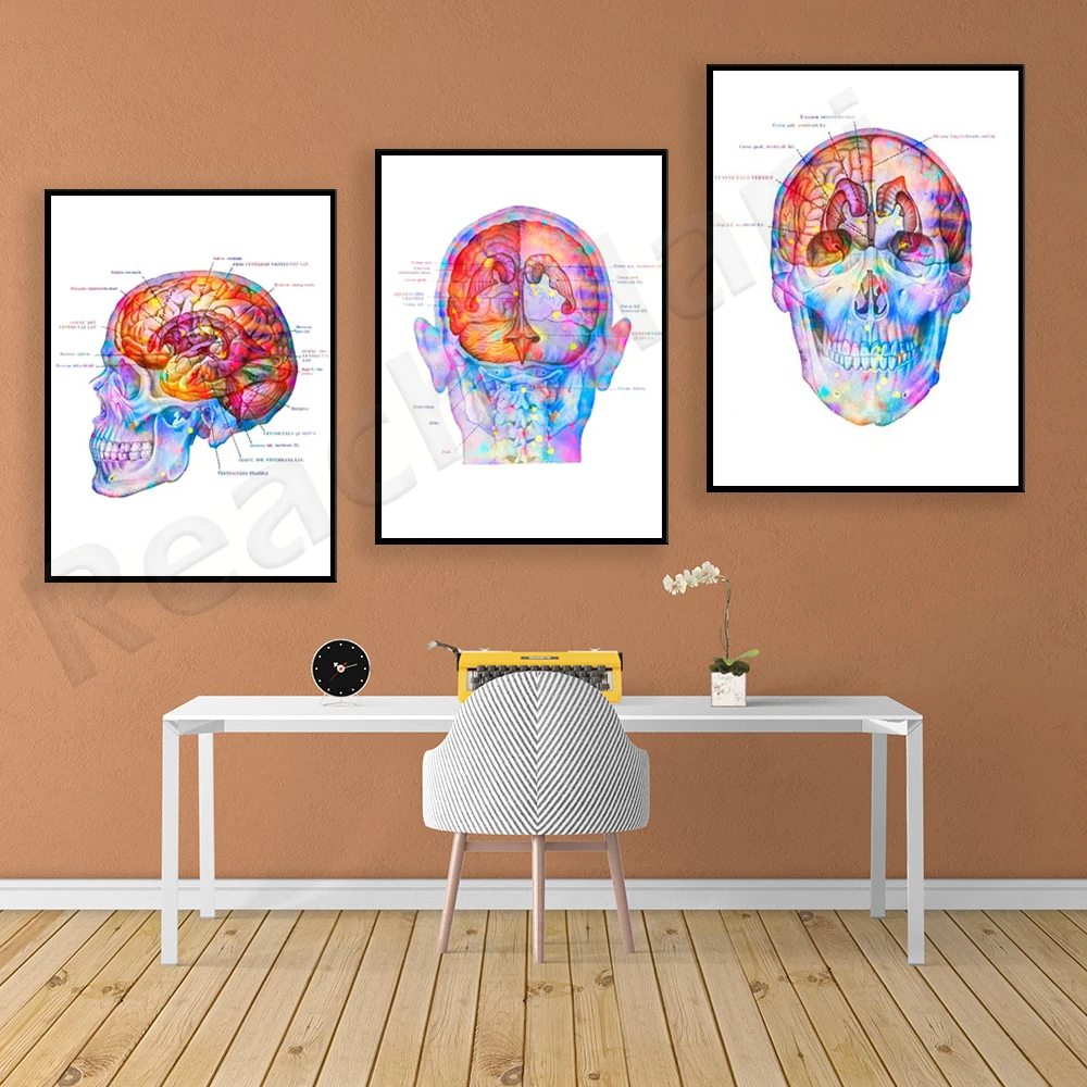 

Brain Topographic Map Poster Brain Anatomy Art Anatomy Brain Medicine, Clinic Decoration Neurologue Gift