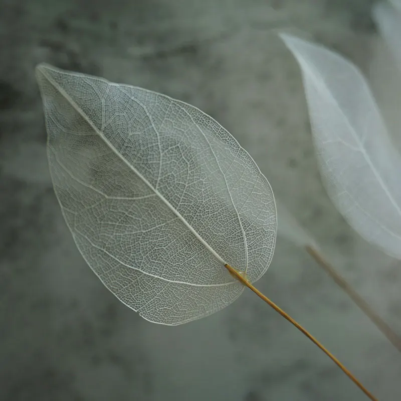 Home Decoration Lucency Leaves Natural Leaf Vein Immortal Artificial Flowers Wedding Table Decoration Wire Stem