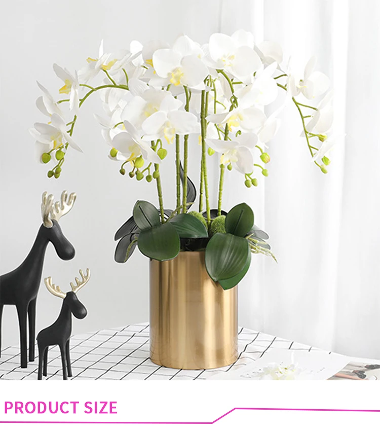 Konservierte Orchidee Phalaenopsis Strukturierte realistische Blumen Künstliche Blumen Familie Hochzeit Ornamente DIY Dekoration – Detail 1