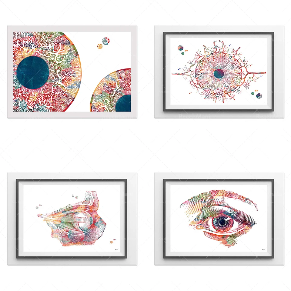 Impresión artística de Iris, anatomía del ojo, arte médico de Aquacolor, Oftalmologia, estructura de Aquarelle d'iris con des vaisseaux sanguins Affiche d'