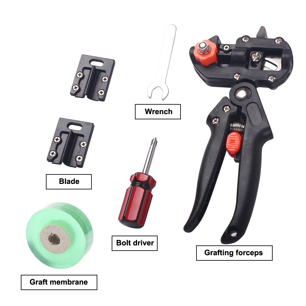 Cisailles Professionnelles pour la Vaccination des Arbres Fruitiers, Outils de Jardin, Sécateur, Ciseaux de Greffe, Couteau de Coupe
