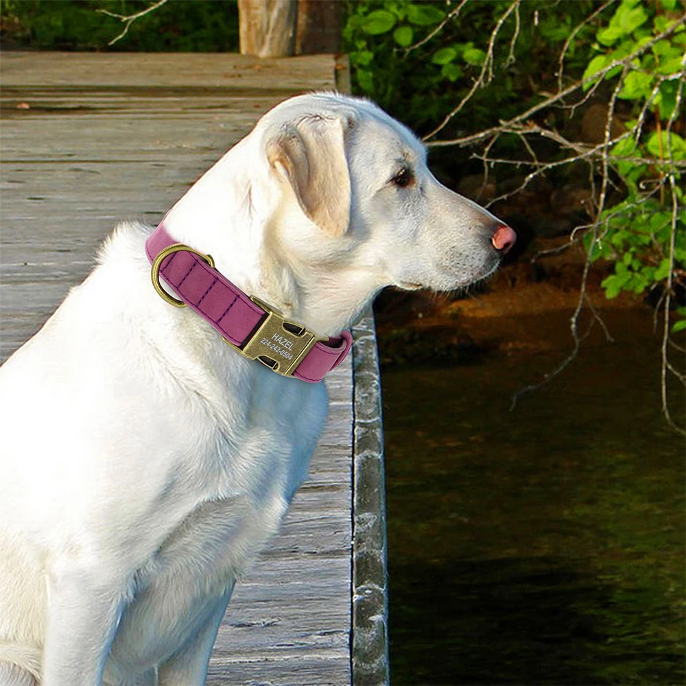 Personal isierte Hunde halsband Leine Set maßge schneiderte Hunde halsband Walking Blei Seil Leder Haustier Halsbänder für kleine mittelgroße Hunde Mops – Detail 25