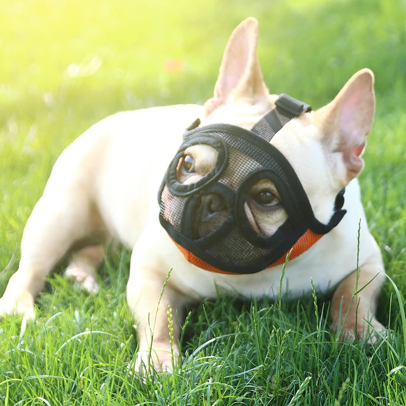 Thumbnail 3 - #31 Latest Dog Muzzles Offers