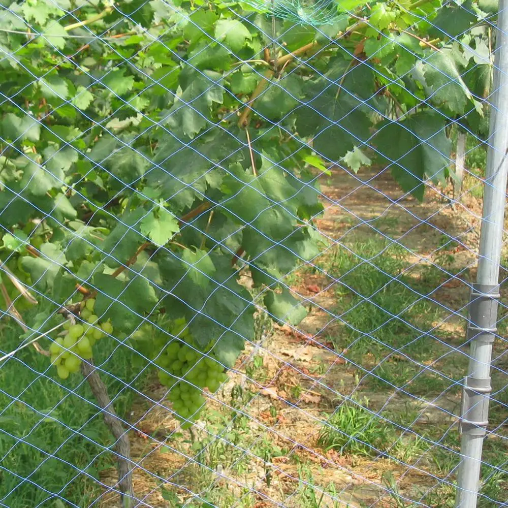 Mehrere Größen Melone Obst Morgen Herrlichkeit Reben Net Blume Gurke Trellis Netting Anlage Netze Klettern Nylon Schutz Net