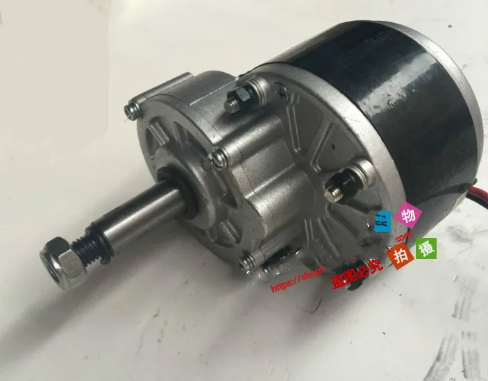 MY1016Z2 extension shaft motor balance car motor 250W24V motor