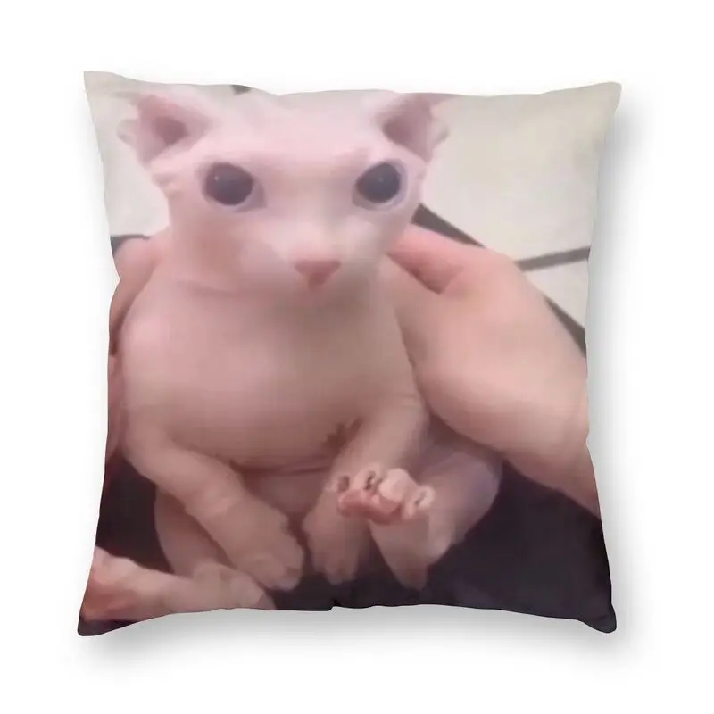 Bingus Cute Meme Square Pillowcover Home Decorative Sphynx Cat Cushion Cover Throw Pillow for Car Double-sided Printing