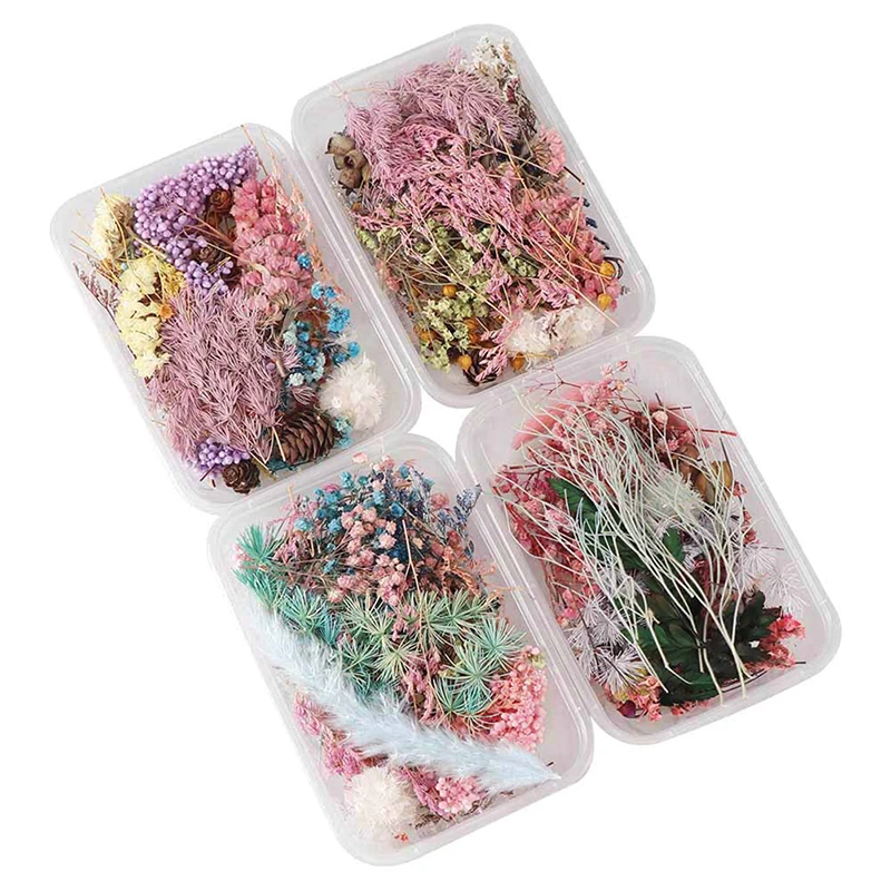 1 Box Random Mix Style Dried Flowers Decoration Natural Floral Sticker Dry Beauty Nail Art Decals Epoxy Mold DIY Filling Jewelry image 4