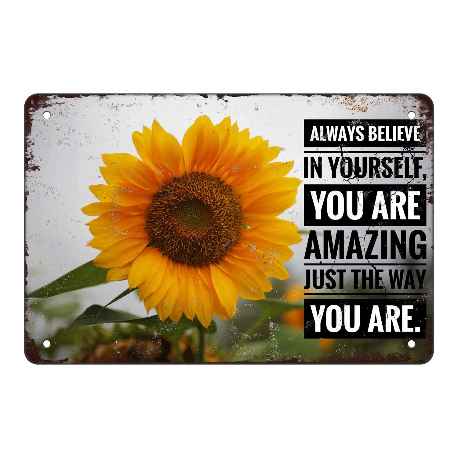 

Vintage Metal Sign You are Amazing Sunflower Kitchen Farm Bar Cafe Wall Poster Plaque 8x12 Inches