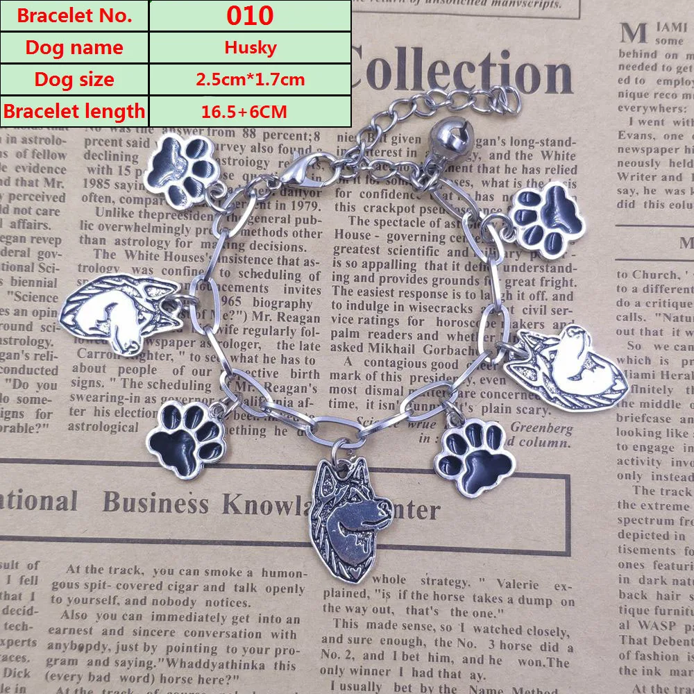 2023 Cute Hot Unique Yorkshire Terrier Husky Pug Chow Chow Dog Animal Stainless Steel Charm Chain Bracelets Men Women SB010