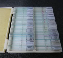 free shipping Microscope slide 100 sets different cell slide educational equipment lab tools