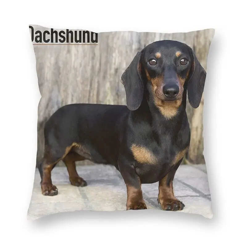 Cute Dachshund Dog Throw Pillow Case Decoration Sausage Wiener Badger Dogs Cushion Cover 40x40cm Pillowcover for Living Room