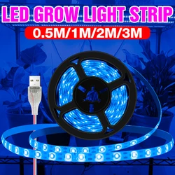 USB LED 50cm 1m 2m 3m Plant Light Strip LED Full Spectrum Grow Lamp 2835 Waterproof LED Phyto Light Ribbon 5V Fito Lamp Grow Box