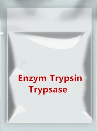 Enzyme trypsine trypsase parenzyme