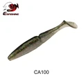 CA100