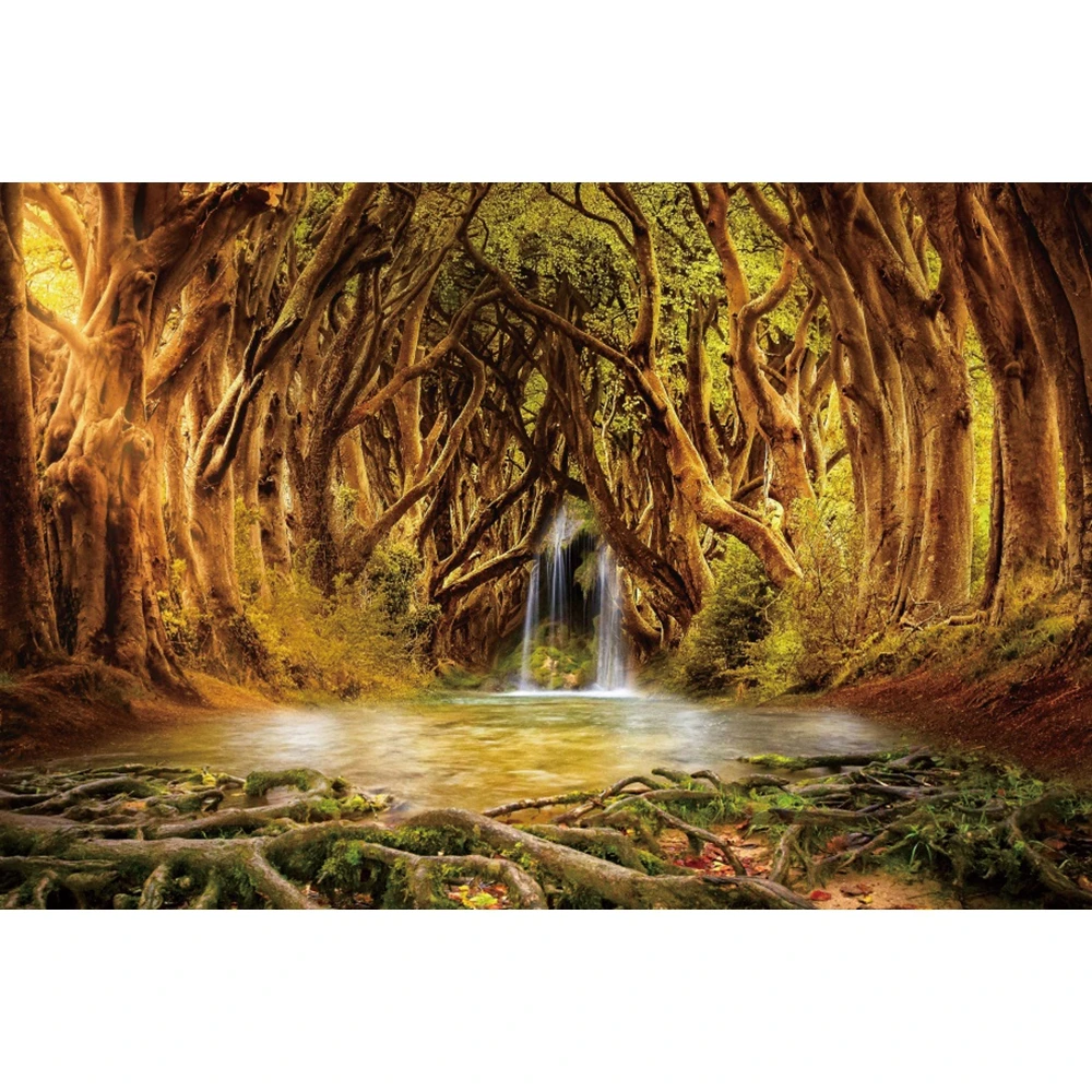 Yeele-Fondo de bosque de ensueño para estudio fotográfico, telón de fantasía, bosque, Primavera, Selva, cascada, río, paisaje Tropical