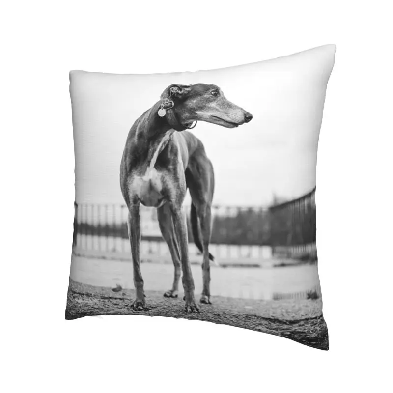 Greyhound Sighthound Dog Pillow Cover Decoration Animal Pattern Cushions Throw Pillow for Living Room Double-sided Printing