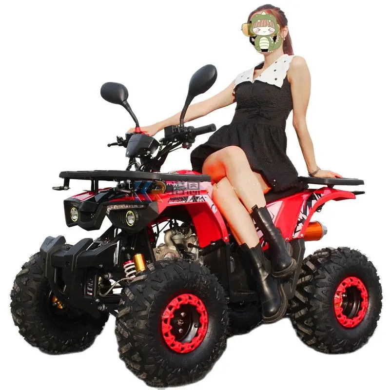 

Popular Mini ATV Mountain Bike Autobike for Sell Professional Gas Powered 125CC ATV Sporty Quad Bike