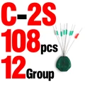 C 2S
