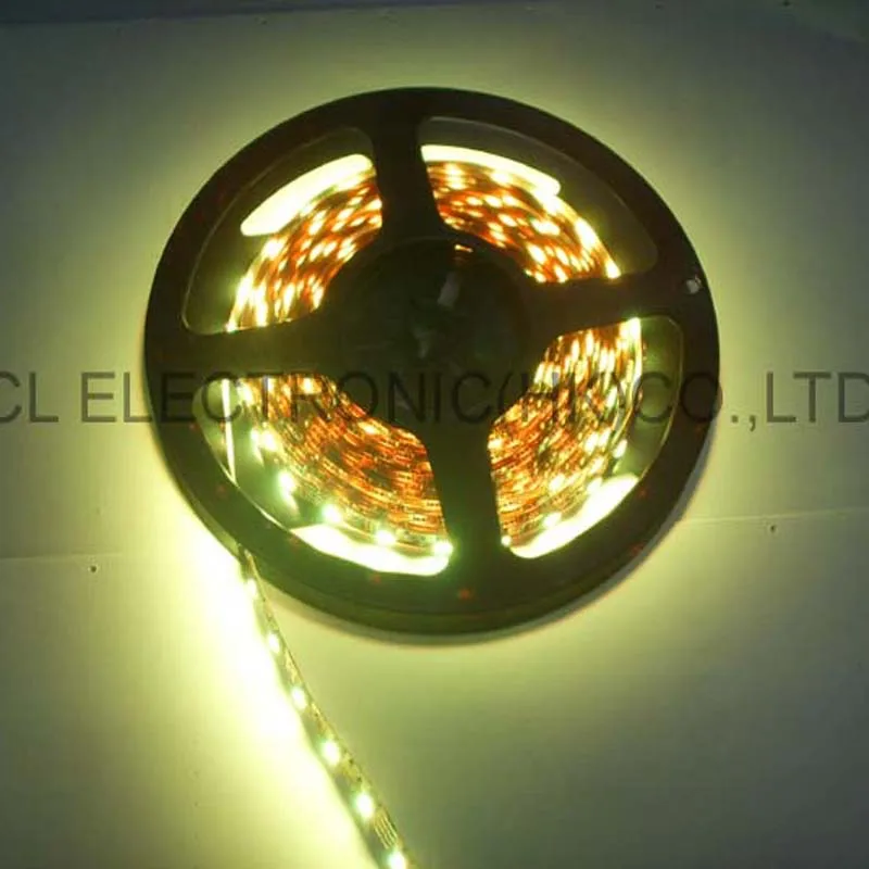 

High quality,3528 DC12V led flex strip,led flexible IP68 Waterproof led strip,3528 Led Decorative Strip,free shipping 20m/lot