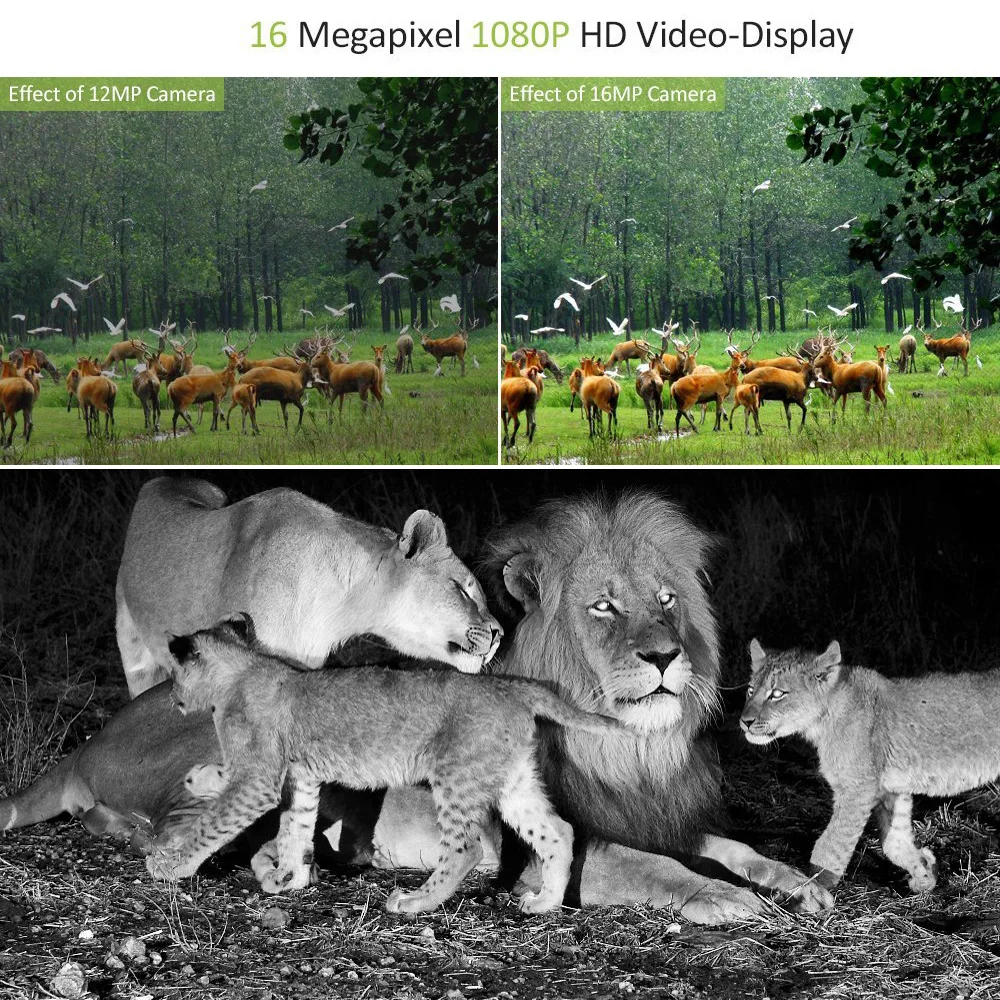 20MP 1080P Kabellose Wildkamera mit Nachtsicht Mini301 für Jagd, Outdoor, Wildtierbeobachtung und Überwachung – Detail 8